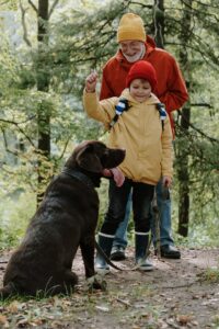 Labradors: A Safe and Loving Companion for Kids Furrr