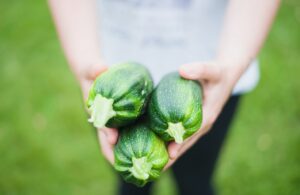 Can Rabbits Eat Courgettes? Exploring the Nutritional Benefits and Potential Health Risks of Feeding this Vegetable to Your Pet Bunny. Furrr